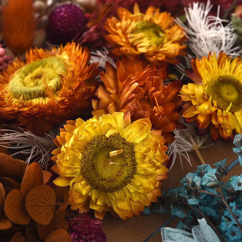 HASTHIP Purple DIY Decor Natural Resin Art Dried Flower Set for Frame Ornament Room Decoration Resin Art Scented Candle Decor Photo HASTHIP Purple DIY Decor Natural Resin Art Dried Flower Set for Frame Ornament Room Decoration Resin Art Scented Candle Decor Photo